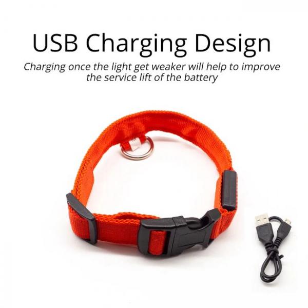 Collar de Perro Led Antipérdida Cargado por USB