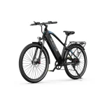 DUOTTS C29 Bicicleta Eléctrica