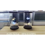 Cilindro Holográfico 3D – Holotubo - Imagen 3