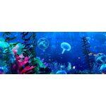 3D Sistema Holográfico Interactivo para Interiores - Imagen 8