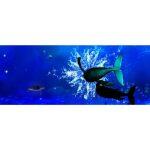 3D Sistema Holográfico Interactivo para Interiores - Imagen 10