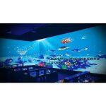 RichTech - Proyección Interactiva de Piso y Pared - Imagen 15