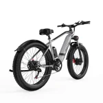 DUOTTS F26 Bicicleta Eléctrica con Motores Duales de 750 Vatios - Imagen 2
