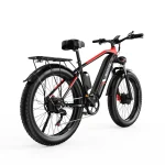 DUOTTS F26 Bicicleta Eléctrica con Motores Duales de 750 Vatios - Imagen 3