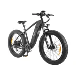 DYU King 750 Bicicleta Eléctrica con Neumáticos Anchos - Imagen 4