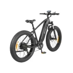 DYU King 750 Bicicleta Eléctrica con Neumáticos Anchos - Imagen 6