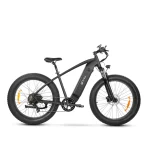 DYU King 750 Bicicleta Eléctrica con Neumáticos Anchos