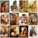 5d Kit de Dibujo de Diamante – Animales - Imagen 5