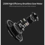 FIIDO D4S Bicicleta Eléctrica Plegable - Imagen 21