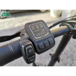Fiido D2S Bicicleta Eléctrica Plegable - Imagen 9