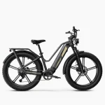 Fiido M25 Titan Bicicleta Eléctrica de Carga Robusta