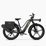 Fiido M25 Titan Bicicleta Eléctrica de Carga Robusta - Imagen 2