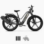 Fiido M25 Titan Bicicleta Eléctrica de Carga Robusta - Imagen 4