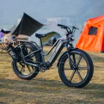 Fiido M25 Titan Bicicleta Eléctrica de Carga Robusta - Imagen 3