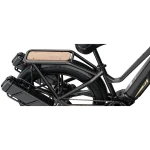 Fiido M25 Titan Bicicleta Eléctrica de Carga Robusta - Imagen 5