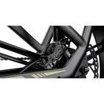 Fiido M25 Titan Bicicleta Eléctrica de Carga Robusta - Imagen 7