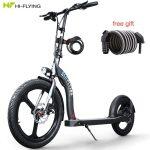 Hi-Flying H100 Scooter Eléctrico Plegable con Rueda Grande - Imagen 11