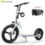 Hi-Flying H100 Scooter Eléctrico Plegable con Rueda Grande - Imagen 8