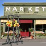 Sistema de Proyector Holográfico con Base - Imagen 3