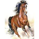 5d Kit de Dibujo de Diamante – Animales - Imagen 9