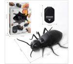 rc giant ant