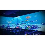 Defi - Proyección Interactiva de Piso y Pared - Imagen 11