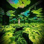 3D Sistema Holográfico Interactivo para Interiores