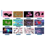 Sistema de Proyección 3D Interactivo de Pared y Suelo con Numerosos Juegos - Imagen 13