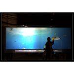 Película Táctil Interactiva - Imagen 5