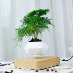 Maceta de Levitación para Planta Bonsai - Imagen 2