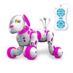 Robot Perro Programable y Controlado a Distancia (2.4G) - Imagen 11