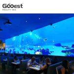 Mar Realista - Pintura Digital Interactiva para Niños – Gooest - Imagen 6