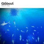 Mar Realista - Pintura Digital Interactiva para Niños – Gooest - Imagen 3