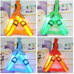 Correa de Luz LED de Perros que se Recarga por USB - Imagen 3