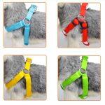 Correa de Luz LED de Perros que se Recarga por USB - Imagen 2