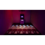 Sistema Interactivo con Juegos Deportivos All-In-One - Imagen 2