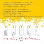 Botella de Cristal de Pronóstico del Tiempo con Luces led de Colores - Imagen 7