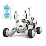 Robot Perro Programable y Controlado a Distancia (2.4G) - Imagen 10