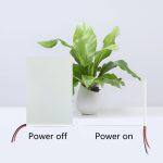 Película Colorida Inteligente para Ventanas y Acristalamientos - Imagen 3