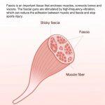 Yunmai Pistola de Masaje Inteligente para Aliviar el Dolor y Relajar los Músculos - Imagen 9