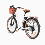 a versatile electric bike