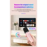 User-friendly karaoke