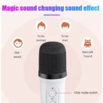 Karaoke including microphones with many options