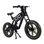 powerful electric bike