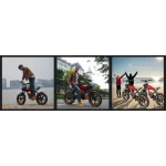 robust electric bike