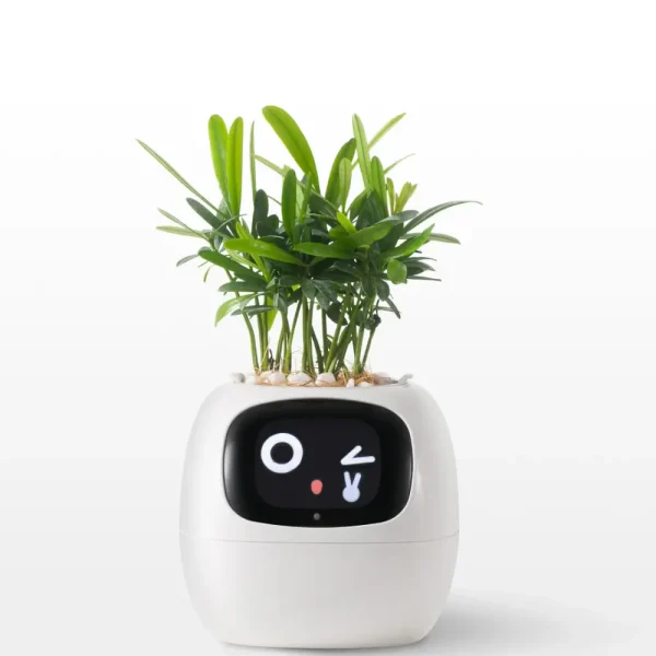 automatic planter
