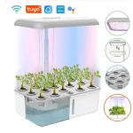 fully automatic planting system