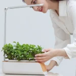 hydroponic pot for optimal plant care