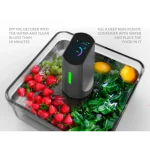 advanced food detoxer