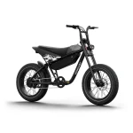 electric bike with all-terrain tires
